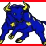 helping hand bulls